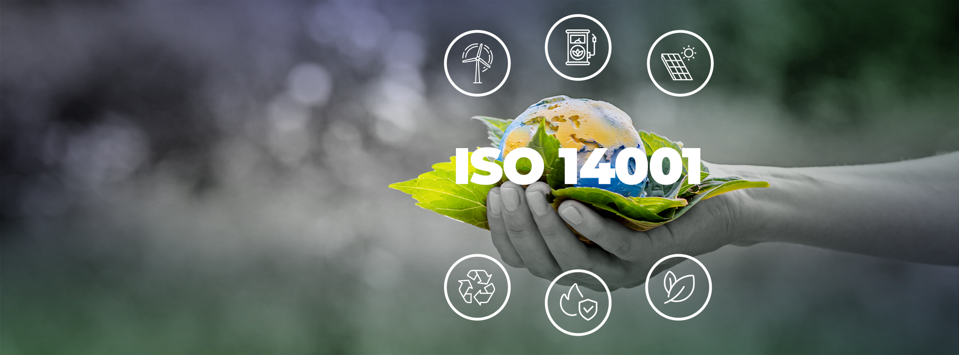 Kako ISO 14001 pomaže organizacijama na tenderima